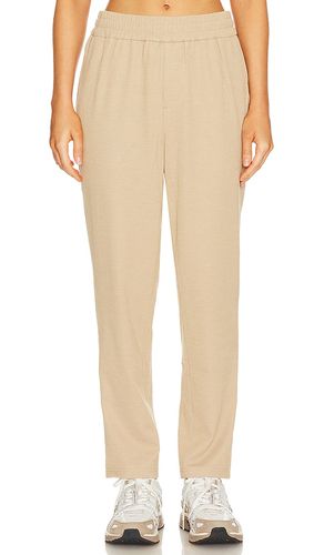 Ribbed Knit Pant in . Taglia M, XL/1X - WAO - Modalova