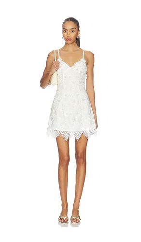Voile Mini Dress in . Size S. Also in XS - Waimari - Modalova
