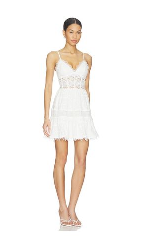 KLEID AMARELLE in . Größe M. Also in XS - Waimari - Modalova