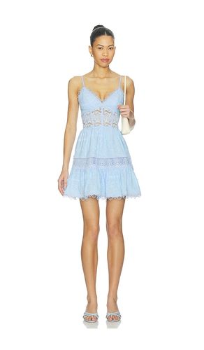 KLEID AMARELLE in . Größe L. Also in M, S, XS - Waimari - Modalova