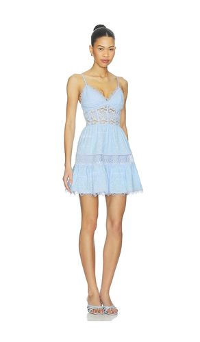 KLEID AMARELLE in . Größe L. Also in M, S, XS - Waimari - Modalova