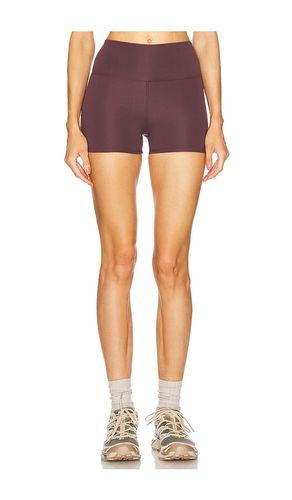 Lorena 3 Inch Shorts in Wine. - size L (also in M, S, XL, XS, XXS) - WellBeing + BeingWell - Modalova