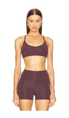 Willa Sports Bra in Wine. - size L (also in M, S, XL, XS, XXS) - WellBeing + BeingWell - Modalova