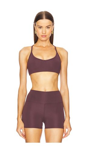 Willa Sports Bra in Wine. - size L (also in XL, XXS) - WellBeing + BeingWell - Modalova