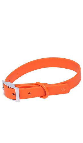 KRAGEN SMALL COLLAR in - Wild One - Modalova