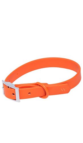 Cuello small collar en color burnt orange talla S en - Burnt Orange. Talla S (también en ) - Wild One - Modalova