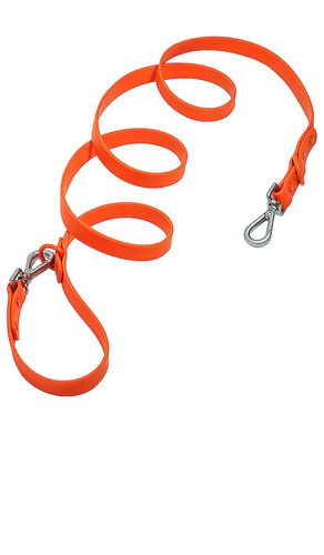 Correa standard leash en color burnt orange talla all en - Burnt Orange. Talla all - Wild One - Modalova