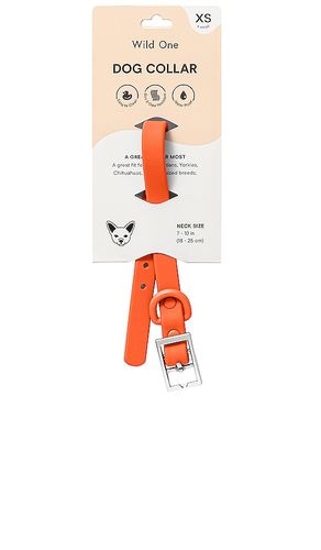 X REVOLVE Collar in - Wild One - Modalova