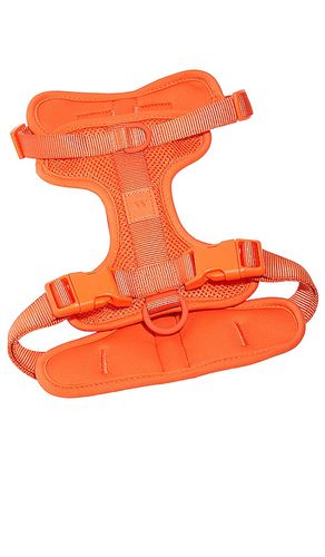 Arnés extra small harness en color burnt orange talla all en - Burnt Orange. Talla all - Wild One - Modalova