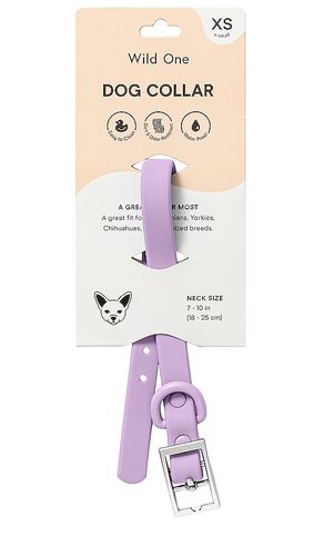 Extra small collar in color lavender size all - Wild One - Modalova