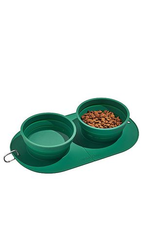 Collapsable Travel Bowl in - Wild One - Modalova