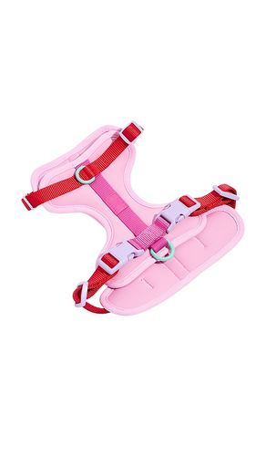 EXTRA KLEINES HARNESS EXTRA SMALL HARNESS in - Wild One - Modalova