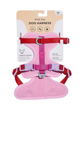 EXTRA KLEINES HARNESS EXTRA SMALL HARNESS in - Wild One - Modalova