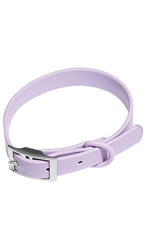 Wild One Large Collar in Lavender - Wild One - Modalova