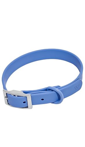 Small collar in color blue size all - Wild One - Modalova