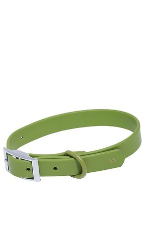 Wild One Collar in Olive - Wild One - Modalova