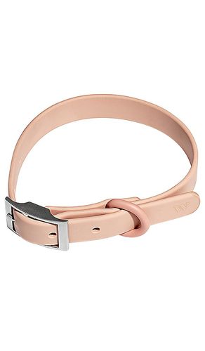 Wild One Collar in Blush - Wild One - Modalova