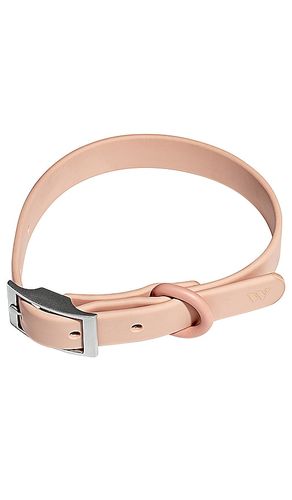 Collar in color size all - Wild One - Modalova