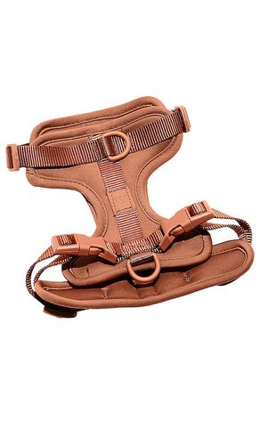 Wild One Harness in Brown - Wild One - Modalova