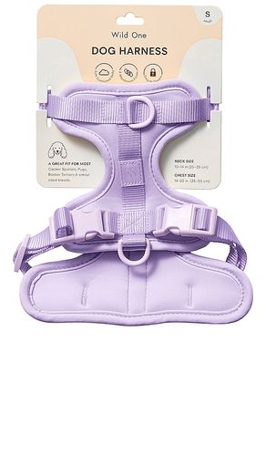 Harness in color lavender size all - Wild One - Modalova