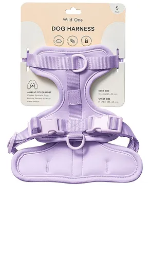 RIEMEN SMALL HARNESS in - Wild One - Modalova