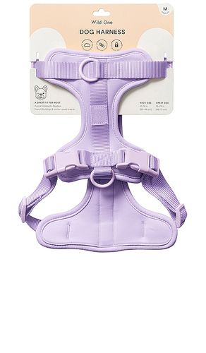 Wild One Harness in Lavender - Wild One - Modalova