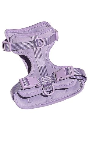 Harness in color lavender size all - Wild One - Modalova