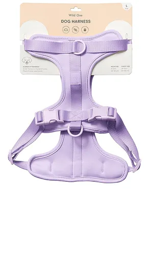 RIEMEN LARGE HARNESS in - Wild One - Modalova