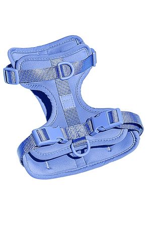 Arnés extra small harness en color azul talla all - Wild One - Modalova