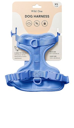 Wild One Harness in Blue - Wild One - Modalova
