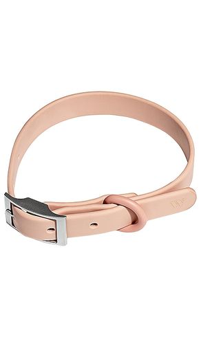 Collar in color size all - Wild One - Modalova