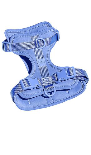 Wild One Harness in Blue - Wild One - Modalova