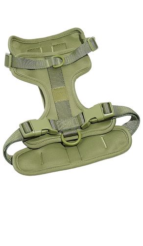 RIEMEN SMALL HARNESS in - Wild One - Modalova