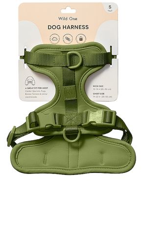 Wild One Harness in Green - Wild One - Modalova