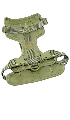 Wild One Harness in Green - Wild One - Modalova