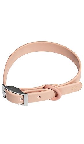Collar in color size all - Wild One - Modalova