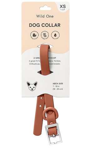 Extra small collar in color brown size all - Wild One - Modalova