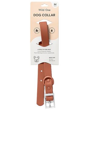 Medium collar in color brown size all - Wild One - Modalova