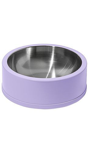 Standard Bowl 32 Oz in Lavender - Wild One - Modalova