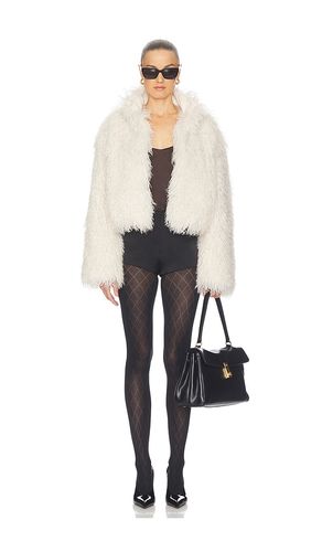 TIGHTS COTTON DIAMOND in . Größe L. Also in M, S, XL, XS - Wolford - Modalova