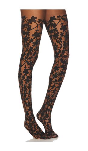 Graphic Flower Tights in . - size L (also in M, S, XS) - Wolford - Modalova