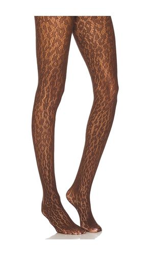 Leo Lace Tights in Brown. - size M (also in S, XS) - Wolford - Modalova