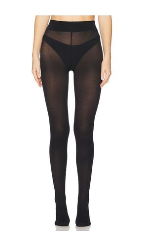 Cotton Rib Tights in . - size L (also in M, S, XS) - Wolford - Modalova