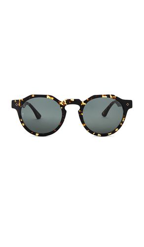 Fontana Sunglasses in Brown - Wonderland - Modalova