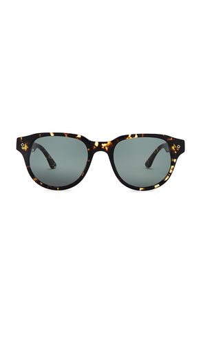 Hesperia Sunglasses in Brown - Wonderland - Modalova