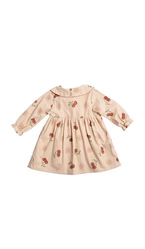 KLEID CELEMENTINE in . Größe 18/24. Also in 2/3, 3/4, 5/6 - Wild Wawa - Modalova