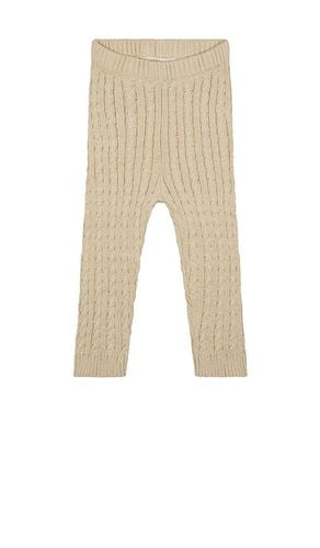 Kids Cable Knit Legging in . - size 2/3 (also in 3/4, 5/6) - Wild Wawa - Modalova