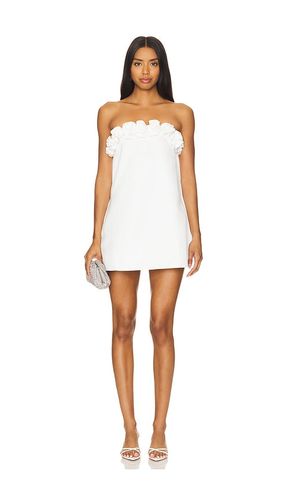 Rose Mini Dress in . - size 0 (also in 2, 6) - WeWoreWhat - Modalova