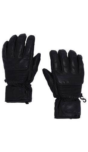 Leather Riding Gloves in Black. - size S/M (also in ) - Whitespace - Modalova