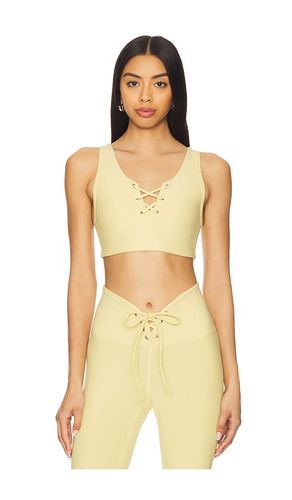 Stretch Football Bra in Yellow. - size L (also in M, S) - YEAR OF OURS - Modalova